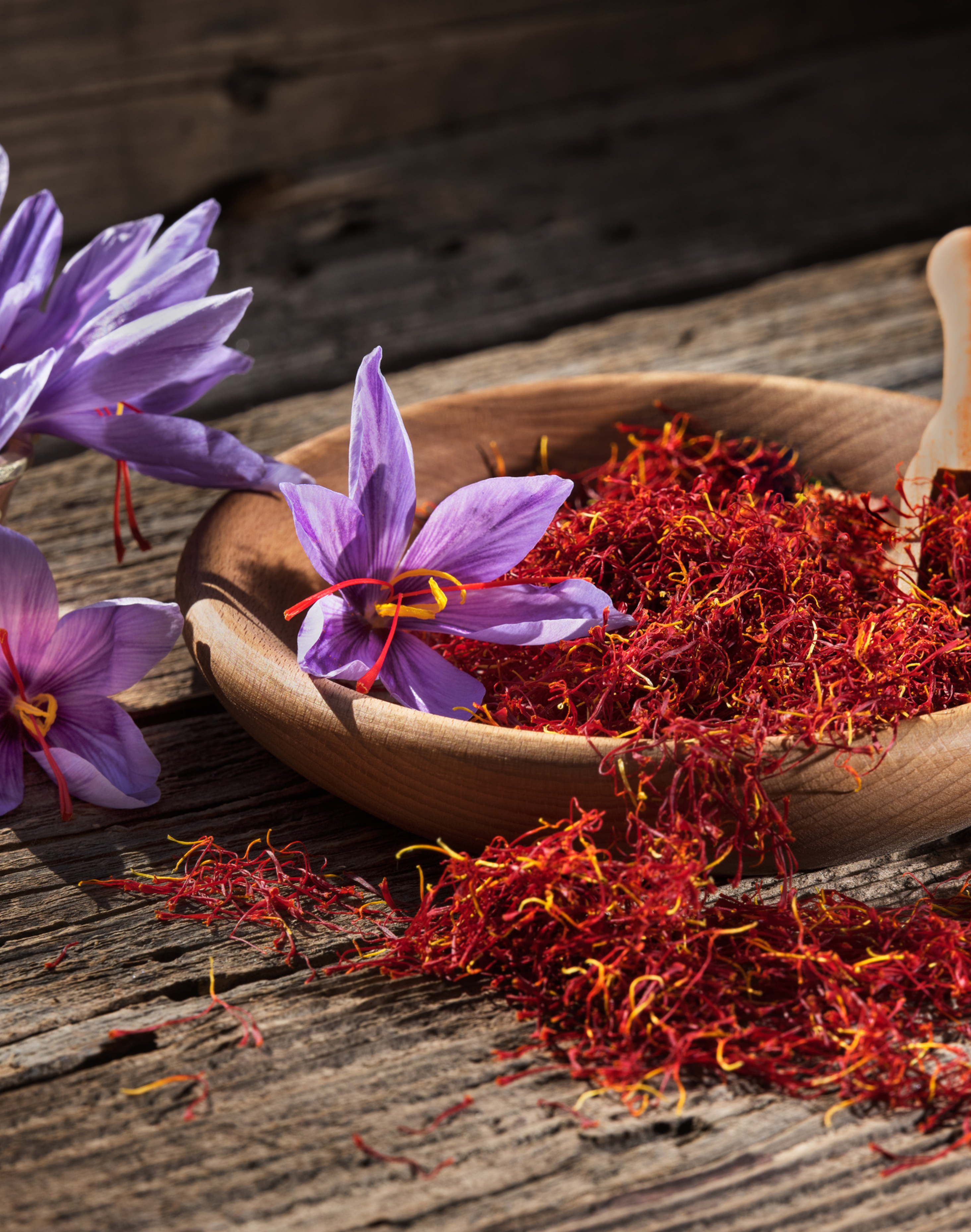 Saffron Extract 